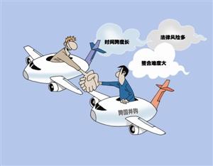 跨国公司并购失败的案例有哪些-急求跨国公司