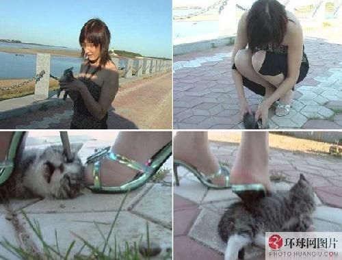 盘点:全球最<em>残忍</em>的蛇蝎美人[组图]-旅游频道-金