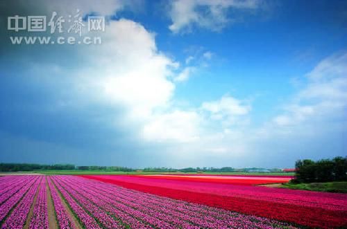 20110413091511953.jpg