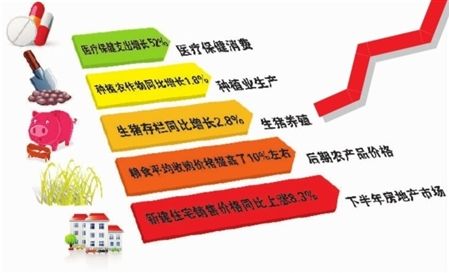 中收入阶层消费比例图_2018年农民收入与消费
