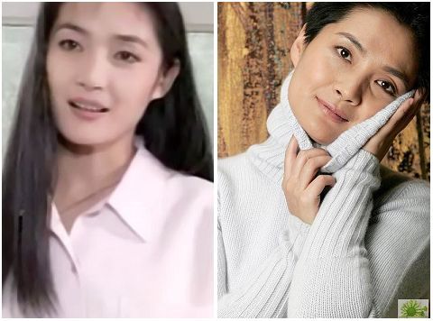 《外来妹》去世李婷因病穿越我的手册保姆是主演剧吗图片