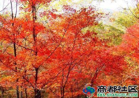 20121030075307009.jpg