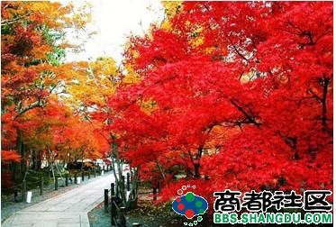 20121030075307115.jpg