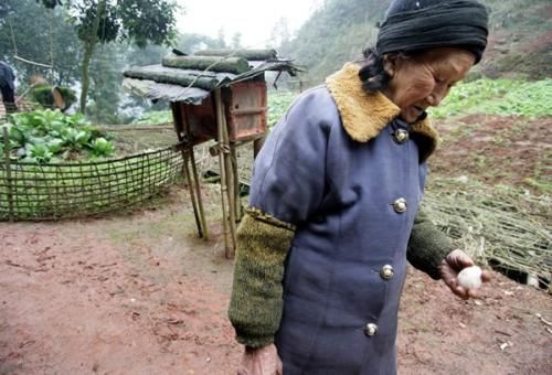 <em>爱情天梯</em><em>女主人公</em>离世 思念老伴抑郁成疾[组