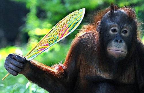 中国股市全球倒数第一 中国股民敬业精神全球