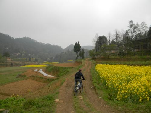 四川人居天坑图片