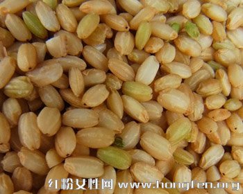 食疗养生指南:秋季预防便秘多吃什么食物好