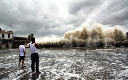 强台风天兔来袭 广东汕头街头各种大树砸车