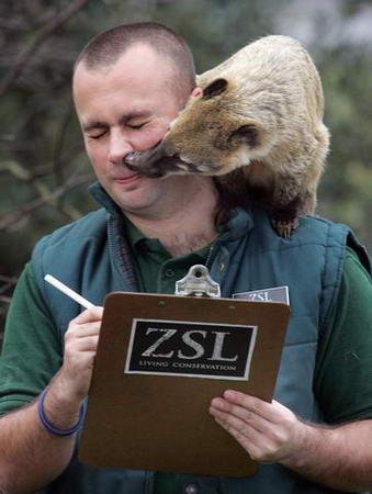 麻醉师缺口达30万_美国麻醉师收入(3)