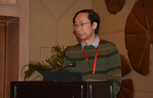 中电联行业规划与统计信息部副主任 游敏 