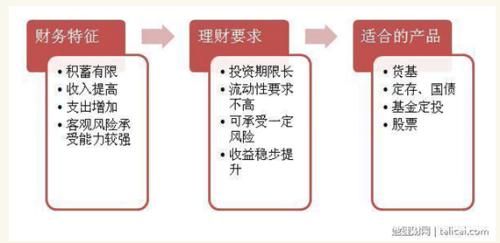 财务支出收入表格模板_学校财务收入计划(3)