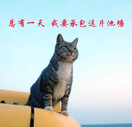 20160530213904564.png