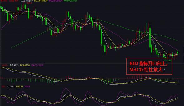 意大利个人gdp_意大利国旗(3)