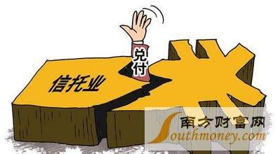 收入证明_平安信托收入(2)