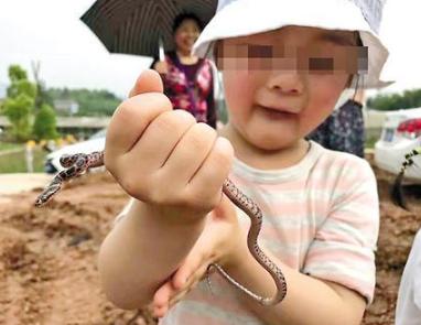 捉毒蛇让女儿把玩
