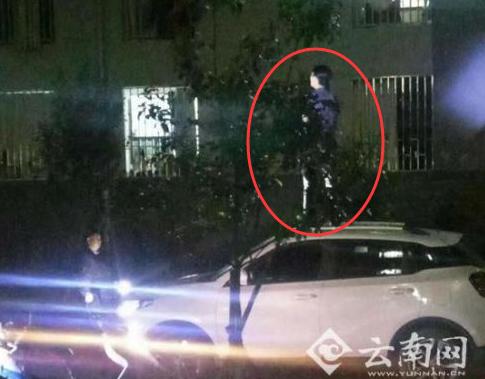 男子开车高校表白被带走 专家竟然给出这样的