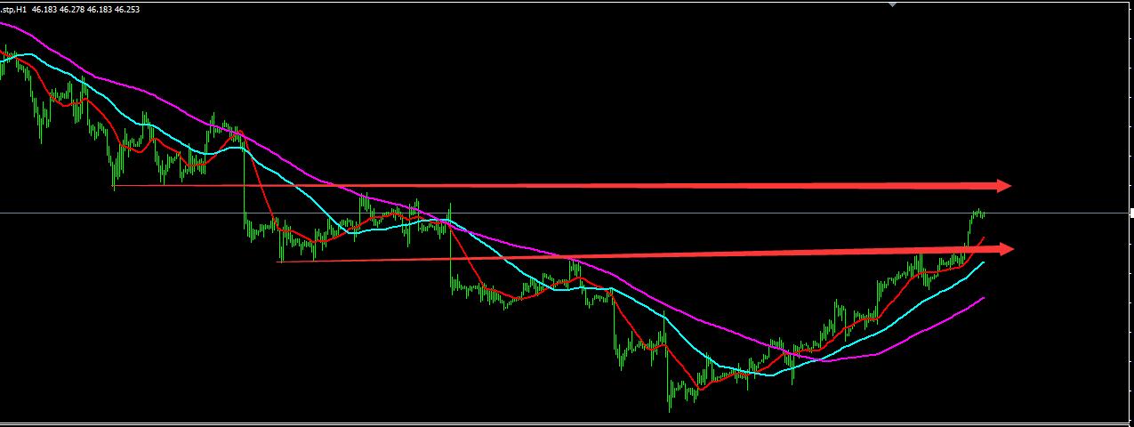 Tfx forex