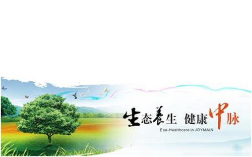 出重拳！中脉科技为你支招，成功揭秘骗局