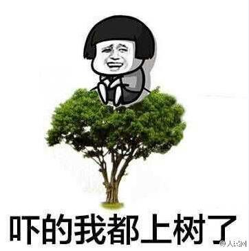【韭菜晚报】我a总龙头涨到怀疑人生 炒