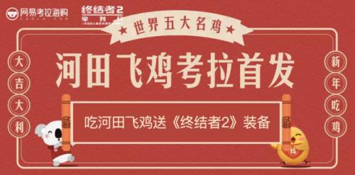 丁磊&王兴养鸡后的下一步是？上网易考拉看看就清楚了