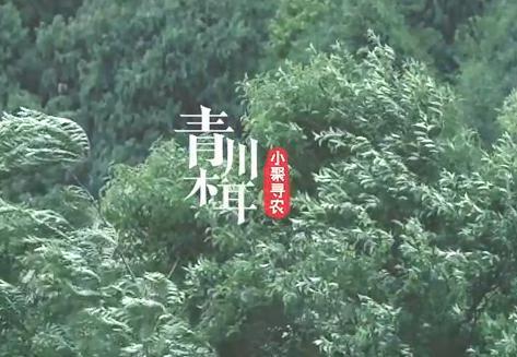 聚划算新农计划2.0出炉 农产品新零售模式再升级