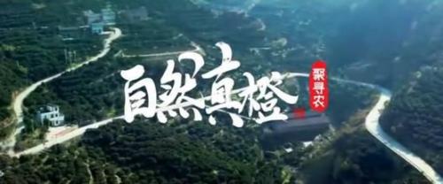 聚划算新农计划2.0出炉 农产品新零售模式再升级