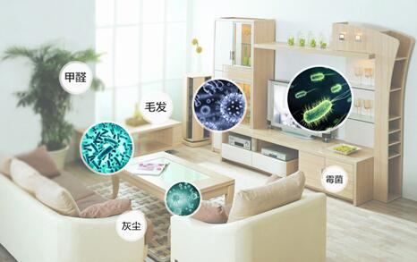 专为中国家庭而生，TCL空气净化器高效杀菌更健康