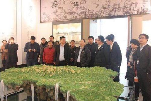 顺丰发布春茶寄递解决方案 推动茶行业产销结合