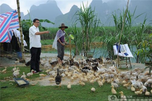 汽车玻璃险有必要买吗