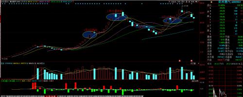 深圳新兰德投顾北京北京:强势股特停就是吃肉