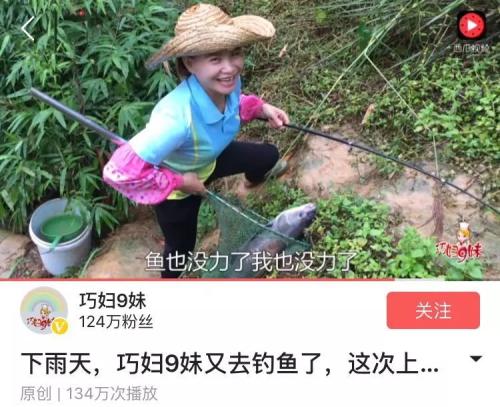 头条号“巧妇9妹”年入千万，农村自媒体想象力有多大？