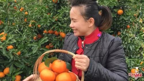 头条号“巧妇9妹”年入千万，农村自媒体想象力有多大？
