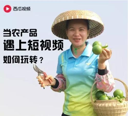 头条号“巧妇9妹”年入千万，农村自媒体想象力有多大？