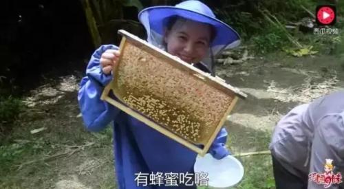 头条号“巧妇9妹”年入千万，农村自媒体想象力有多大？