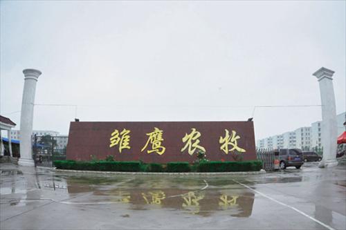 雏鹰农牧李花：靠“养猪”四度登上福布斯榜的美女总裁