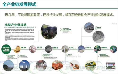 雏鹰农牧李花：靠“养猪”四度登上福布斯榜的美女总裁