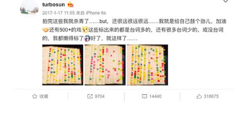 孙俪成维达品牌代言人，首担韧性体验官