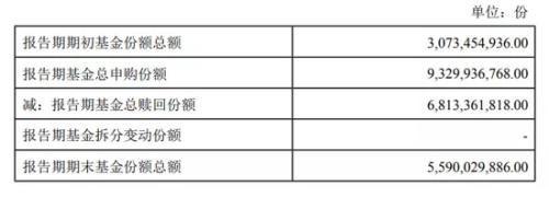 一季度创业板ETF规模大增 中证500基金也被买