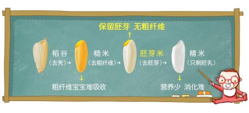 一年2000%增长　米小芽宝宝米，再获千万级投资