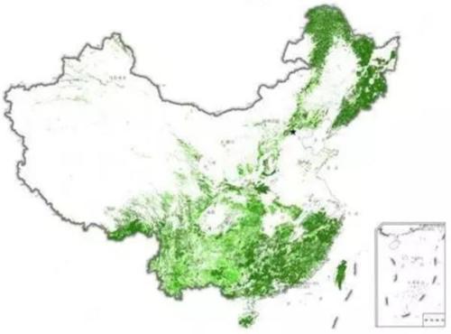 图：中国森林资源分布情况