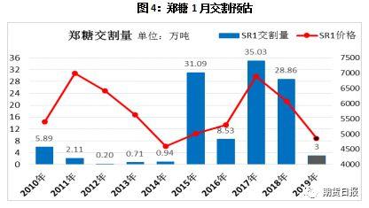 甜菜影响弱化，但郑糖黑暗还未结束