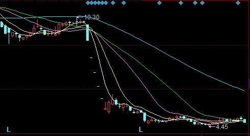 本图片由犀牛之星提供，未经允许禁止转载