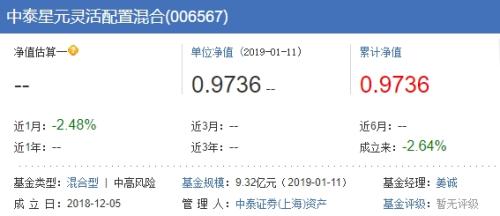 新晋基金公司 为何以混基开局
