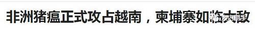 东南亚的泰国柬埔寨等启动预警，严禁任何疫区 的猪肉和猪肉类食品进口，可见非洲猪瘟之厉害。