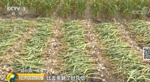 平度人口减少_平度一中(2)