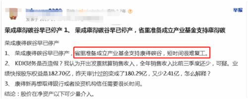 500亿碳谷项目也“黄”了？康得新大股东抽逃出资