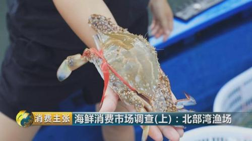 长相一样的螃蟹 有的卖68元有的卖25元!啥区别?