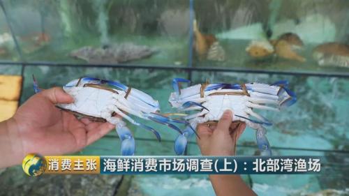 长相一样的螃蟹 有的卖68元有的卖25元!啥区别?
