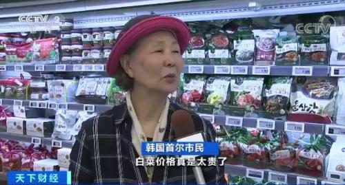 一棵白菜30元？韩国主妇：泡菜都腌不起了