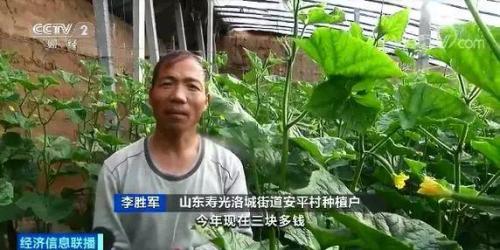 白菜卖出白菜价但黄瓜却涨了!都是蔬菜,差距咋那么大?